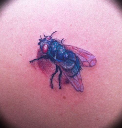 a fly on her right shoulder blade