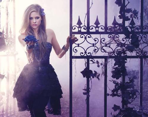 photoshoot for Avril Lavigne's new fragrance Forbidden Rose