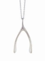 wishbone