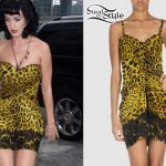 Katy Perry: Leopard Dress Look