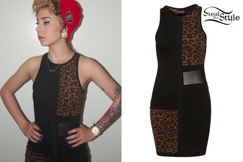 Lil Debbie: Leopard & Mesh Dress