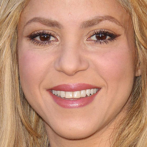 Shakira Makeup Brown Eyeshadow Pink