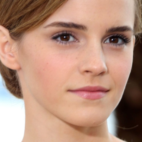 Emma Watson Makeup Nude Eyeshadow Pink Lipstick Steal Her Style