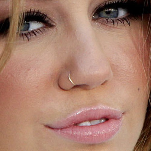 66 Celebrity Nose Nostril Piercings Page 4 Of 7 Steal Her