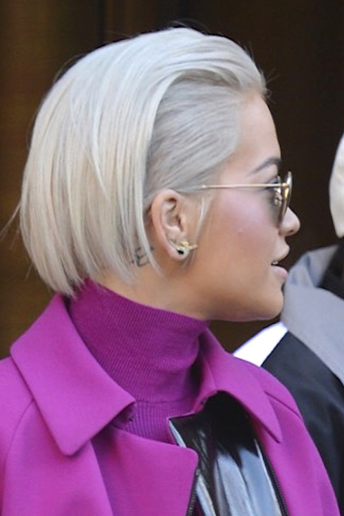 Rita Ora Straight Silver Slicked Back Hairstyle  Steal 