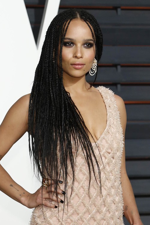 205 Celebrity Mini Braids Hairstyles, Page 19 of 21, Steal Her Style