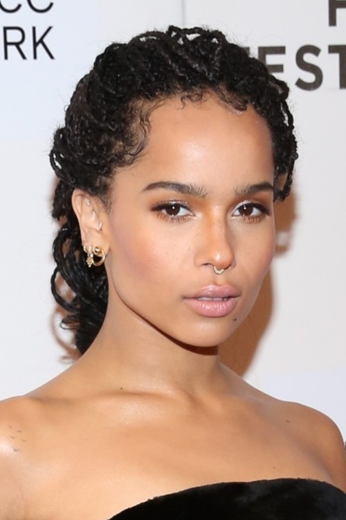 Zoë Kravitz's Hairstyles & Hair Colors | Steal Her Style