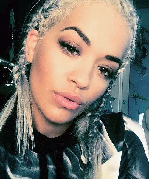 Rita Ora Straight Silver Pigtail Braids Hairstyle  Steal 