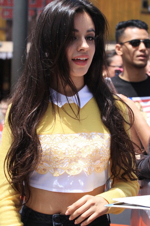 Camila Cabello Wavy Dark Brown Messy Hairstyle  Steal Her 