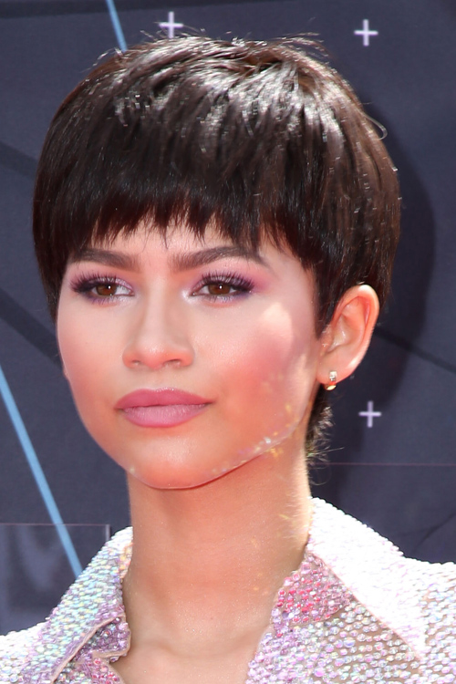 Zendaya Straight Dark Brown Pixie Cut Hairstyle  Steal 