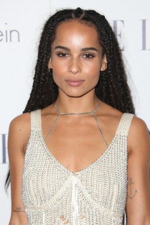 Zoë Kravitz Black Mini Braids Hairstyle | Steal Her Style