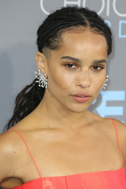 Zoë Kravitz Straight Dark Brown Low Ponytail, Mini Braids 