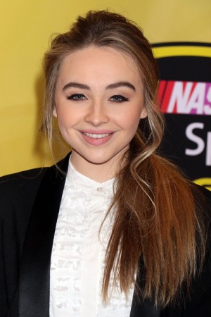 Sabrina Carpenter Straight Medium Brown Low Ponytail, Ponytail ...