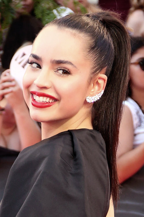 Sofia Carson Straight Dark Brown High Ponytail, Ponytail 