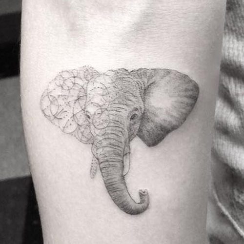 Finished elephant tattoo by Chap, Savannah Ga. : r/tattoos