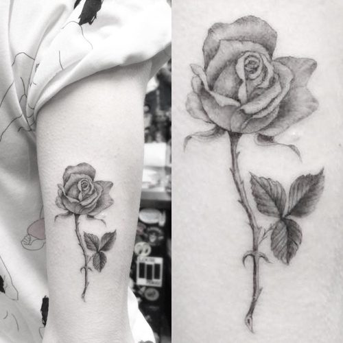 HON Tattoo Studio  The fountain of love is the rose and the lily the sun  and the dove  Dove and rose upper arm tattoo done by anthonyhontattoo   Tag a