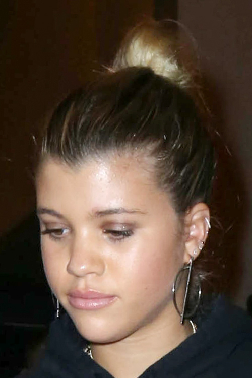 Sofia Richie Straight Medium Brown Bun Ombré Hairstyle