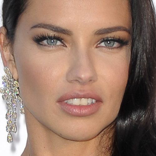 Adriana Lima Makeup Black Eyeshadow Silver Eyeshadow Pale Pink Adriana Lima Makeup Black Eyeshadow Silver Eyeshadow Pale Pink