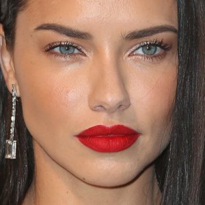 Adriana Lima Makeup: Black Eyeshadow, Silver Eyeshadow & Pale Pink