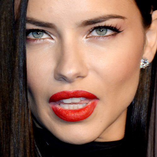 Adriana Lima Makeup: Black Eyeshadow, Silver Eyeshadow & Pale Pink ...