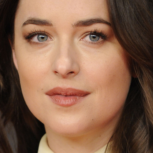 Dakota Johnson Makeup: Black Eyeshadow, Brown Eyeshadow ...