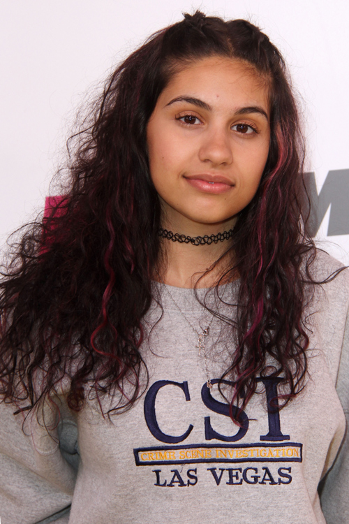 Alessia Cara Curly Dark Brown Peek-A-Boo Highlights 