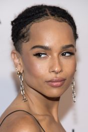 Zoë Kravitz's Hairstyles & Hair Colors | Steal Her Style