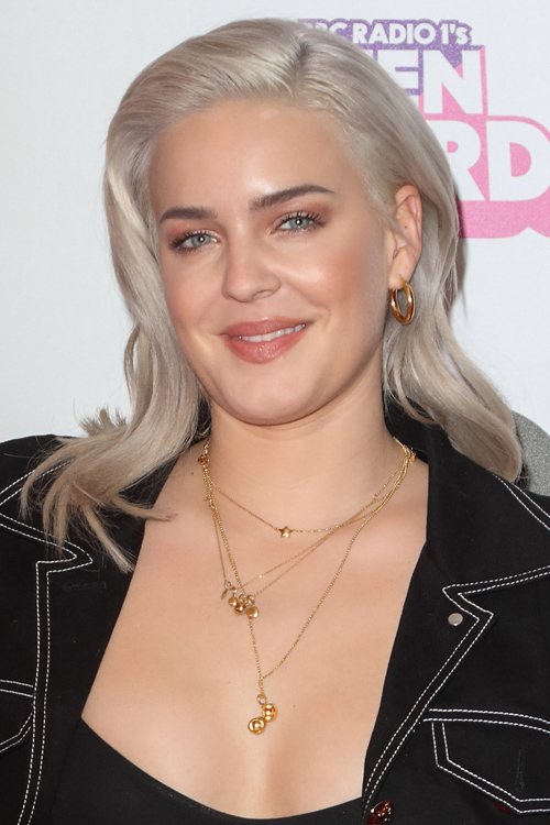 Anne-Marie Straight Silver Uneven Color Hairstyle  Steal 