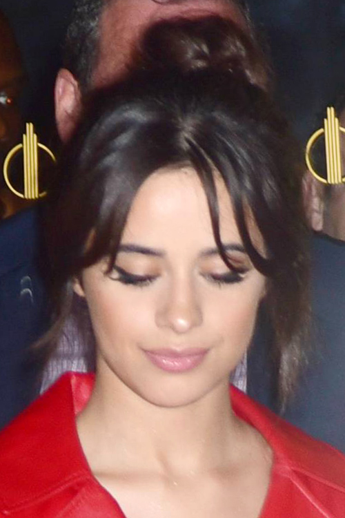 Camila Cabello Straight Dark Brown Bun, Thin Bangs 