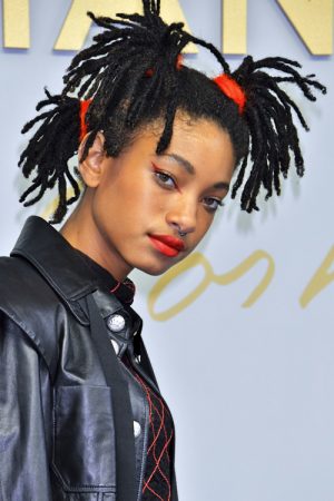 Willow Smith's Hairstyles & Hair Colors | Steal Her Style