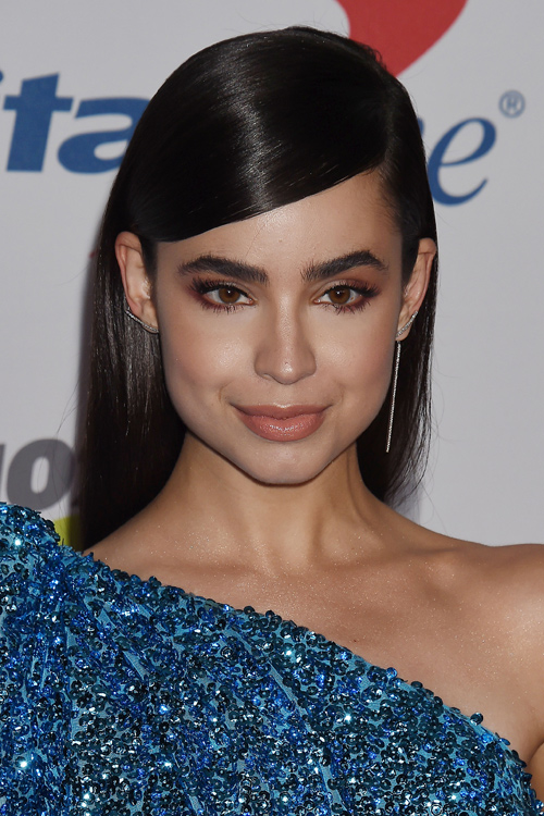 Sofia Carson Straight Dark Brown Flat-Ironed Hairstyle | Steal Her Style