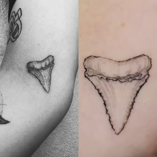 Kevin Joseph Tattoo  Little shark tooth designed based off the one of the  teeth she had found jacksonvilletattoos  Facebook