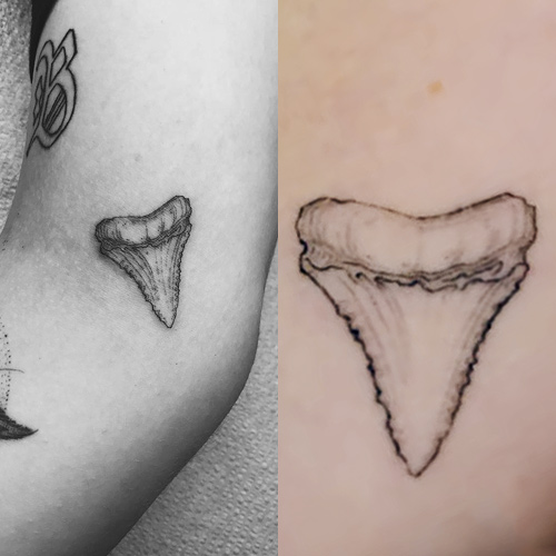 fine line sharks tooth tattoo｜TikTok Search