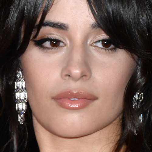 Camila Cabello Makeup: Brown Eyeshadow, White Eyeshadow & Clear Lip ...