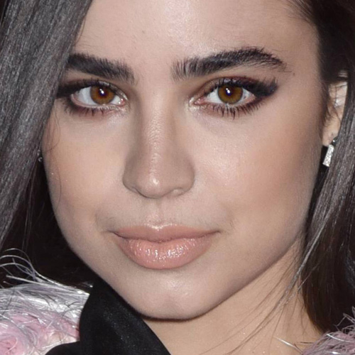 Sofia Carson Makeup Black Eyeshadow Taupe Eyeshadow And Nude Lipstick Steal Her Style