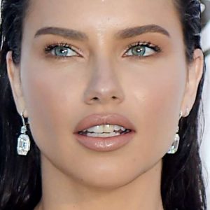 Adriana Lima's Makeup Photos & Products | Steal Her Style