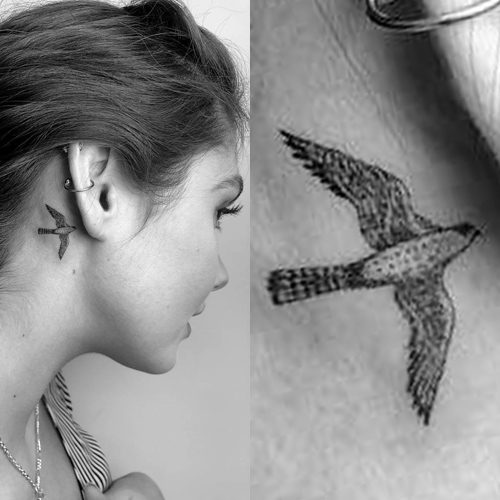 Ronni Hawk Bird Behind Ear Tattoo | Steal Her Style