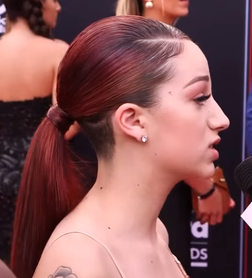 Danielle Bregoli Straight Burgundy Low Ponytail, Ponytail 