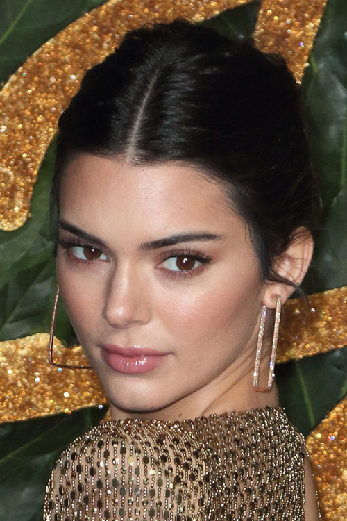 Kendall Jenner Straight Dark Brown Bun Hairstyle  Steal 