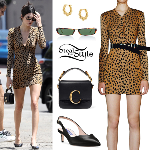 Kendall Jenner: Animal Print Dress, Black Pumps | Steal Her Style