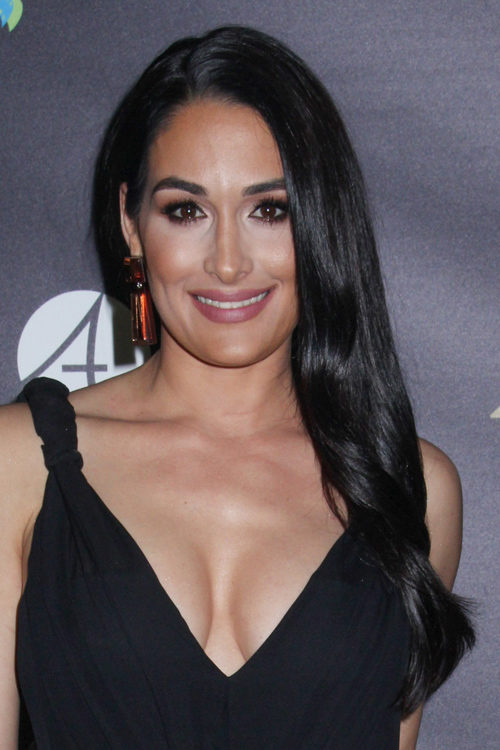 Nikki Bella Clothes and Outfits  Star Style – Celebrity fashion