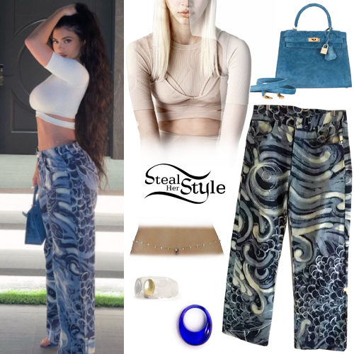 Kylie Jenner Crop Top Printed Jeans Steal Her Style