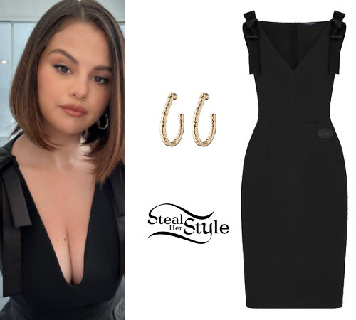 Selena Gomez's Sheer Black Gown — See Her Sexy Louis Vuitton