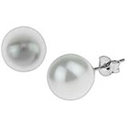 Tevolio Glass Pearl Round Stud Earrings - White/Silver