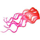 CandyAppleLocks Bubble Gum Hair Extensions, Ombre Human Hair Clip in Extensions, Pastel Pink, Real Hair
