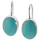 Target Sterling Silver Oval Drop Earrings with Stone - Turquoise