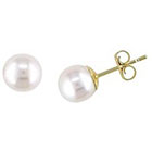 Allura 6-6.5mm Round Freshwater Cultured Pearl Stud Earrings in 14k Yellow Gold
