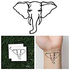 Tattify Elephant Trunk - Temporary Tattoo (Set of 2)