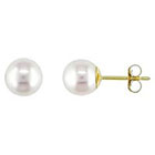 Allura 6-6.5mm Cultured Freshwater Pearl Stud Earrings in 14k Yellow Gold