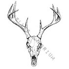 JoellesEmporium Skull Temporary Tattoo, Deer Head Temporary Tattoo, Deer Skull, Tattoo Temporary, Fine Art Tattoo, Skull Drawing Deer Skull Temporary Tattoo